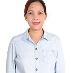 Virtual Assistant, Customer Service and Travel Consultant